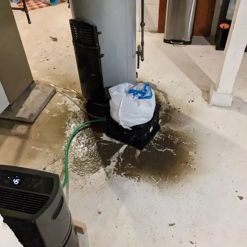 Sewage Backup Cleanup Service in Weedpatch, CA